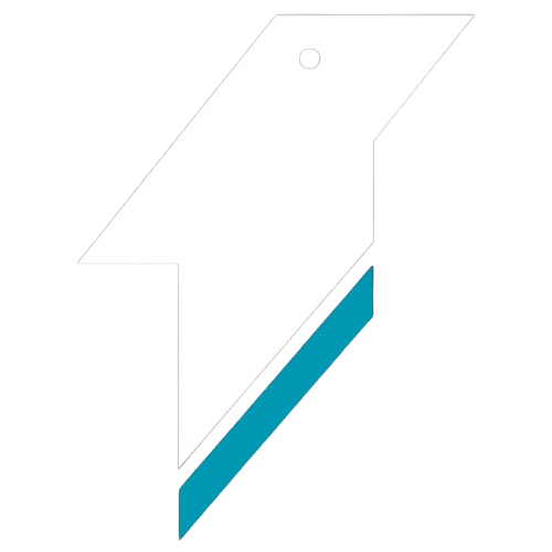 birdswims logo