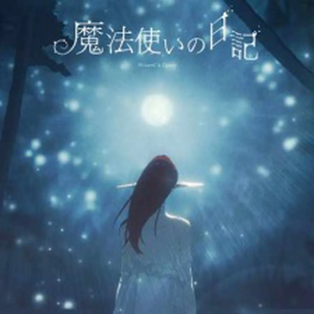 Wizard's Diary